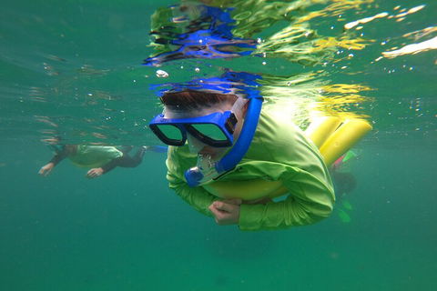 Manly Snorkel Trip And Nature Walk With Local Guide - Hotel Accommodation 5