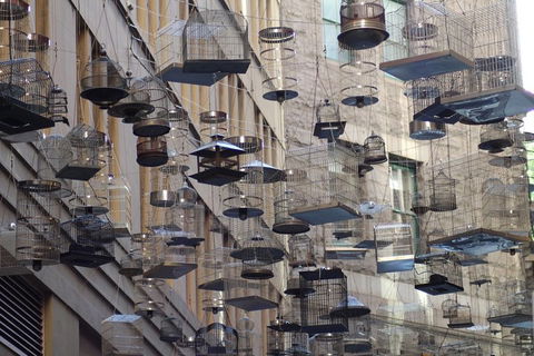 Sydney Scavenger Hunt: Inside Sydney - Hotel Accommodation 0