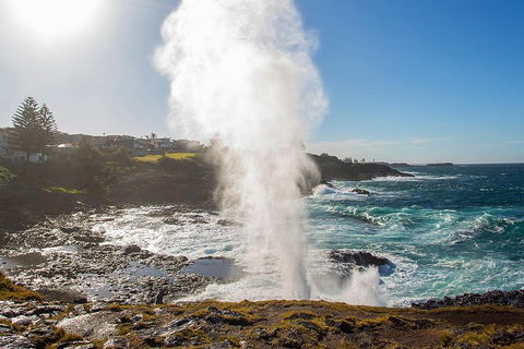 Private Tour: Sydney South Coast & Highlands - Hotel Accommodation 2