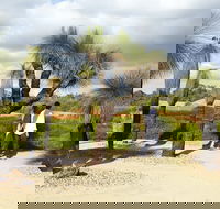 1 Day Exclusively Private Tour Of Phillip Island  The Penguin Parade - Hotel Accommodation