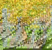 Margaret River Indulge and Discover Day Tour - Hotel Accommodation