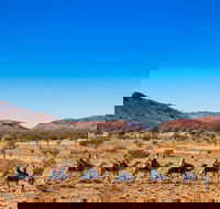 Alice Springs Camel Tour - Hotel Accommodation