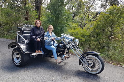 Blue Mountains 1-Hour Trike Tour Of Three Sisters - Hotel Accommodation 1