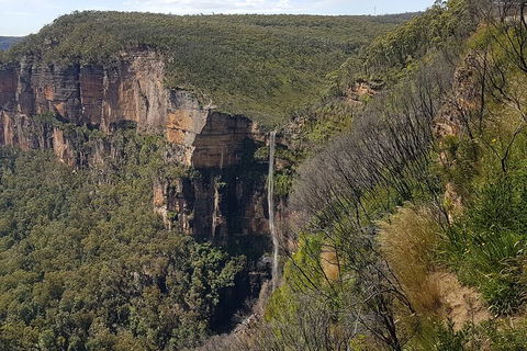 Blue Mountains 1-Hour Trike Tour Of Three Sisters - Hotel Accommodation 5