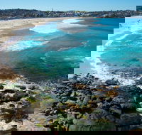 Private Sydney Foreshores and Beaches SUV Tour - Hotel Accommodation