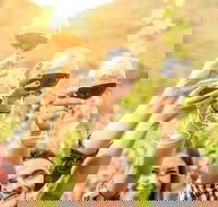 Adelaide Hills Day Tour. Winery Cellar Doors - Hotel Accommodation