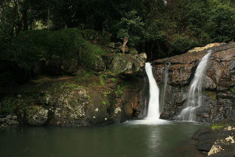 Hinterland Magic & Glow-worm Experience - Hotel Accommodation 2