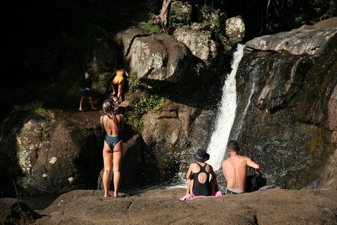 Hinterland Magic & Glow-worm Experience - Hotel Accommodation 5