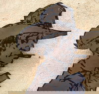 Explore The Rocks Sydney In A Series Of Fun Cryptic Clues - Hotel Accommodation