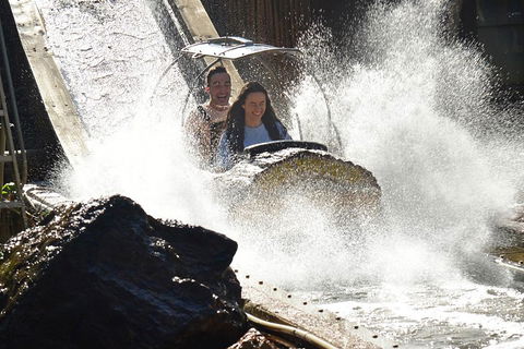 Theme Park Transfer From Brisbane - Hotel Accommodation 1