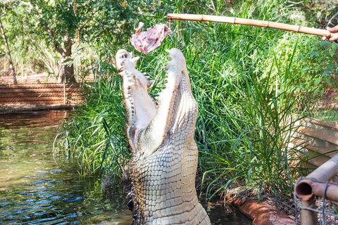 3 In 1 Tour: Matsoâ€™s Brewery, Broome Museum & Malcolm Douglas Crocodile Park - Hotel Accommodation 3
