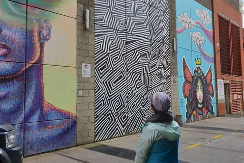 Jimmy C Street Art Walking Tour - Hotel Accommodation 2