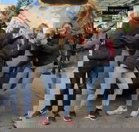 Guided Walking Tour in Adelaide - Hotel Accommodation