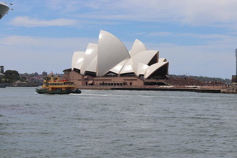 Private Sydney City And Bondi Beach Half Day Tour - Hotel Accommodation 5