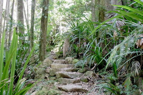 Byron Bay Combo: Minyon Falls And Hinterland Day Trip And Learn To Surf At Byron Bay - Hotel Accommodation 3