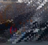 Melbourne City Private Tour - Hotel Accommodation