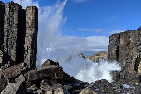 Erupting Blowholes And Ancient Rainforests With 'Personalised Sydney Tours' - Hotel Accommodation 0