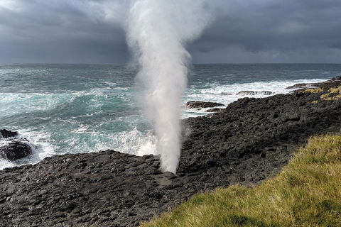 Erupting Blowholes And Ancient Rainforests With 'Personalised Sydney Tours' - Hotel Accommodation 1