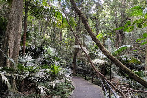 Erupting Blowholes And Ancient Rainforests With 'Personalised Sydney Tours' - Hotel Accommodation 2