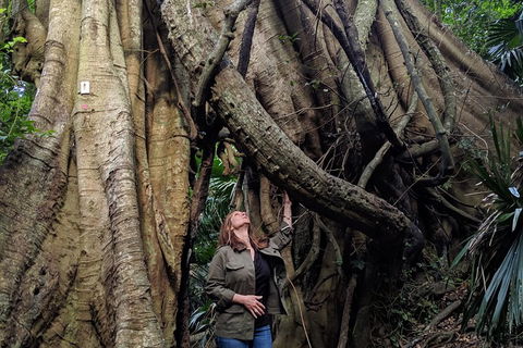 Erupting Blowholes And Ancient Rainforests With 'Personalised Sydney Tours' - Hotel Accommodation 4