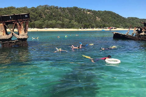All Inclusive Dolphin And Tangalooma Wrecks Cruise - Hotel Accommodation 0