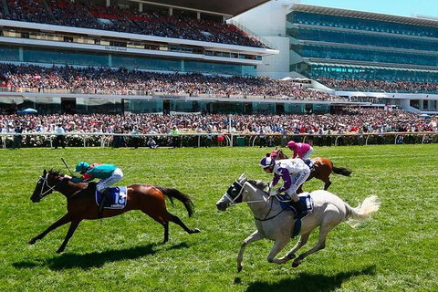 Cultural Melbourne City Tour - Hotel Accommodation 4