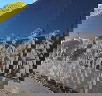 Cultural Caper Adelaide Walking Tour - Hotel Accommodation