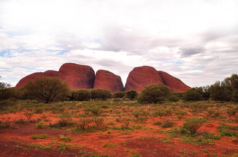 Ayers Rock 4 Tour Combo: Complete Uluru Base Walk At Sunrise, Valley Of The Winds At Sunrise, Kata Tjuta Sunset And Uluru Sunset - Hotel Accommodation 1