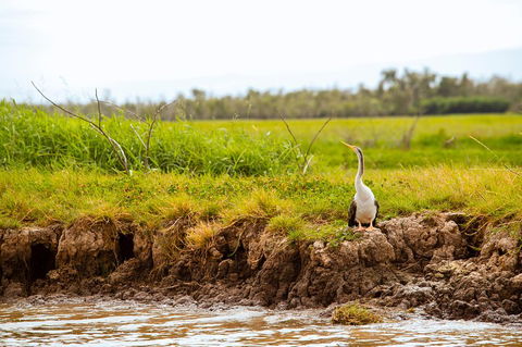 Darwin City Sights And Jumping Crocodile Cruise - Hotel Accommodation 2