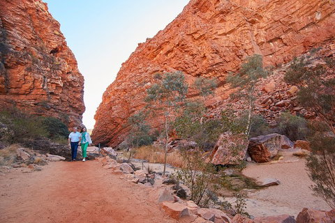 Best Of Alice Springs Full Day Tour - Hotel Accommodation 1
