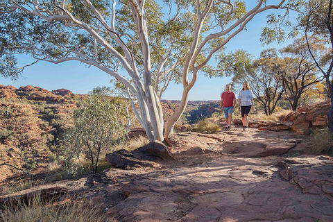 3-Day Tour From Uluru (Ayers Rock) To Alice Springs Via Kings Canyon - Hotel Accommodation 1