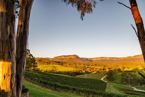 Taste Of The Blue Mountains - Lunch & Wine Tasting, Beer, Cider & Gin Tasting - Hotel Accommodation 1