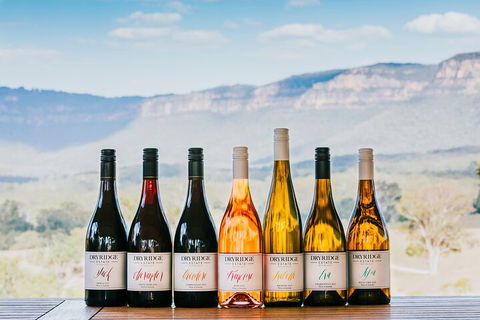 Taste Of The Blue Mountains - Lunch & Wine Tasting, Beer, Cider & Gin Tasting - Hotel Accommodation 3