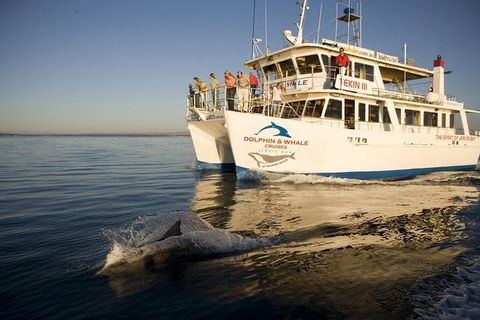 Jervis Bay Dolphin Watch Cruise - Hotel Accommodation 3