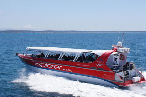 Whale Watching Jervis Bay - Hotel Accommodation 1