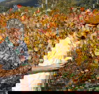 Signature Tour - Hotel Accommodation