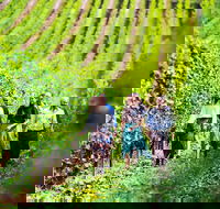 Tasmanian Wine Tour - Hotel Accommodation