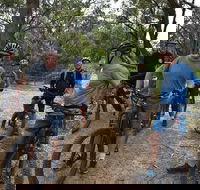 Fully guided E-Mountain Bike Tour on the beautiful Mornington Peninsula. - Hotel Accommodation