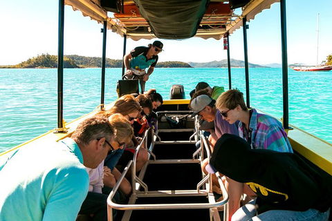 Airlie Beach Glass Bottom Boat Tour - Hotel Accommodation 1