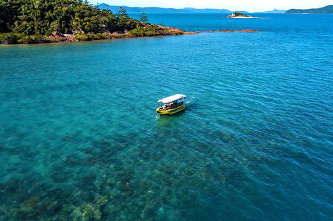 Airlie Beach Glass Bottom Boat Tour - Hotel Accommodation 4