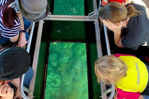 Airlie Beach Glass Bottom Boat Tour - Hotel Accommodation 5