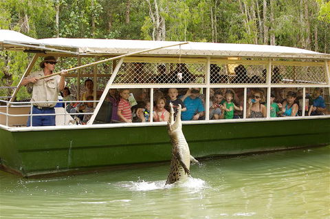 Hartley's Crocodile Adventure Half-Day Tour - Hotel Accommodation 0
