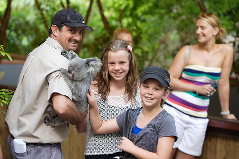 Hartley's Crocodile Adventure Half-Day Tour - Hotel Accommodation 3