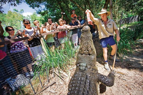 Hartley's Crocodile Adventure Half-Day Tour - Hotel Accommodation 4