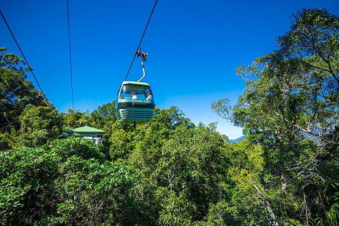 Skyrail Rainforest Cableway Day Trip From Cairns - Hotel Accommodation 1