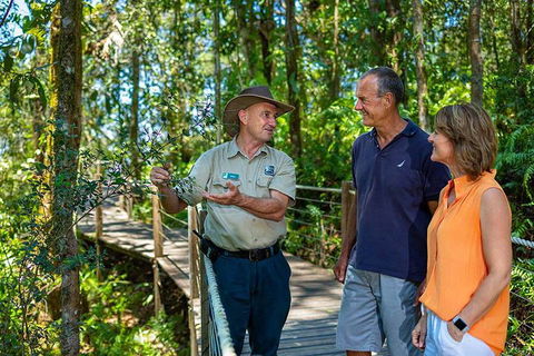 Kuranda Scenic Railway Day Trip From Cairns - Hotel Accommodation 1