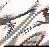 The Ultimate Gold Coast Attractions Pass - Hotel Accommodation