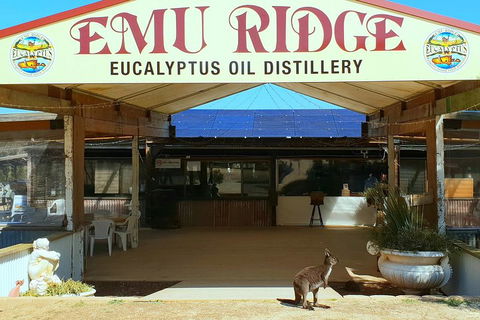 Full-Day Kangaroo Island Safari From Penneshaw - Hotel Accommodation 2