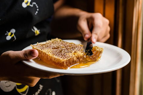 Full-Day Kangaroo Island Safari From Penneshaw - Hotel Accommodation 3