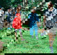 Let's Go Buggin  Let's Go Shroomin - Photography  Nature Walking Tours - Hotel Accommodation